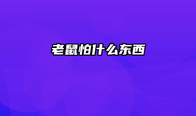 老鼠怕什么东西