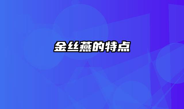 金丝燕的特点