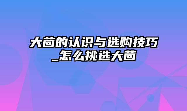 大茴的认识与选购技巧_怎么挑选大茴