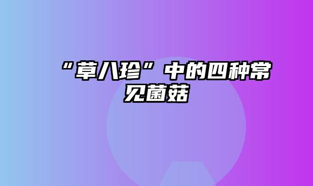 “草八珍”中的四种常见菌菇