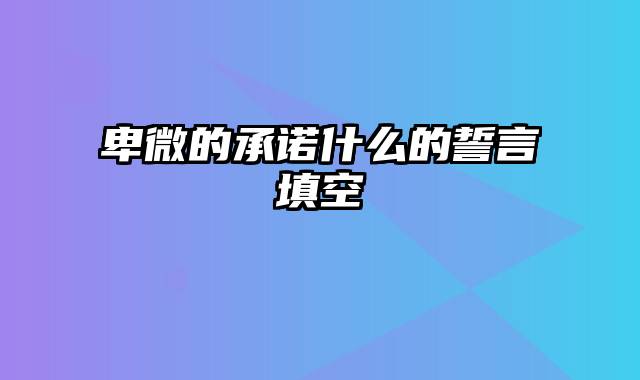 卑微的承诺什么的誓言填空
