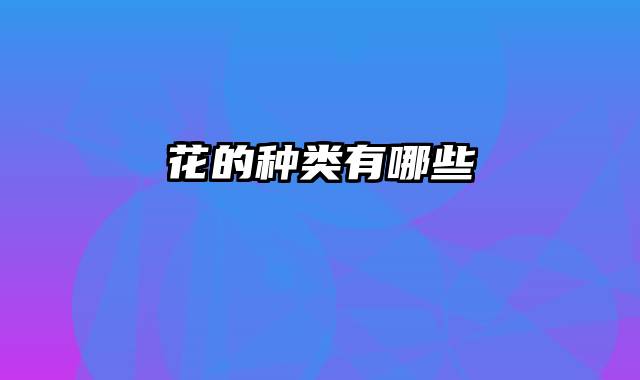 花的种类有哪些