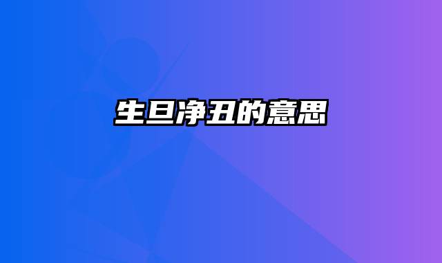 生旦净丑的意思