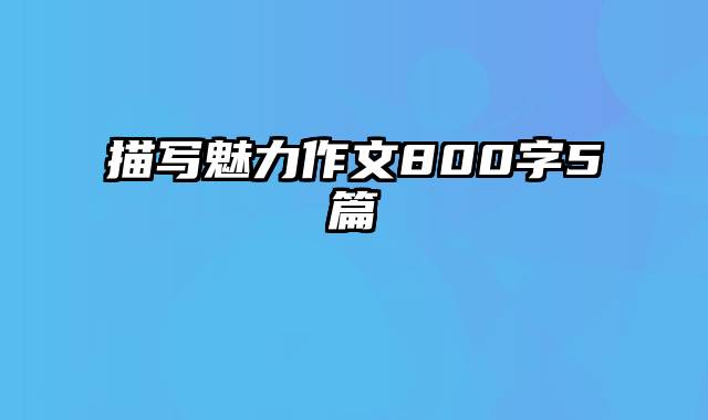 描写魅力作文800字5篇