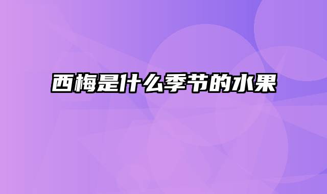 西梅是什么季节的水果