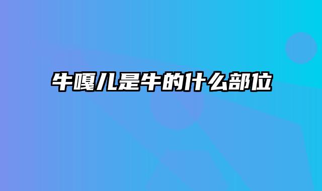 牛嘎儿是牛的什么部位