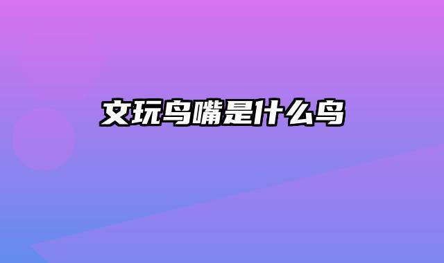 文玩鸟嘴是什么鸟