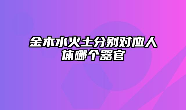 金木水火土分别对应人体哪个器官