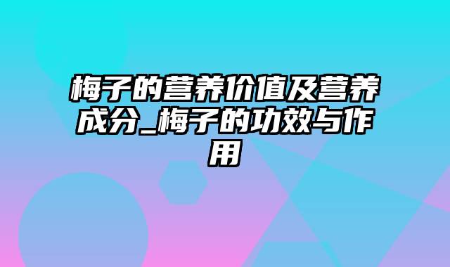 梅子的营养价值及营养成分_梅子的功效与作用