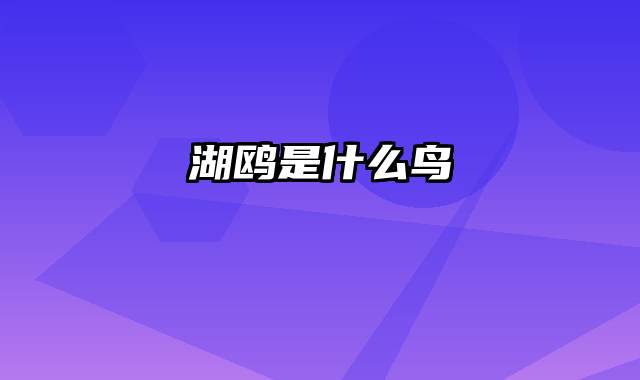 湖鸥是什么鸟