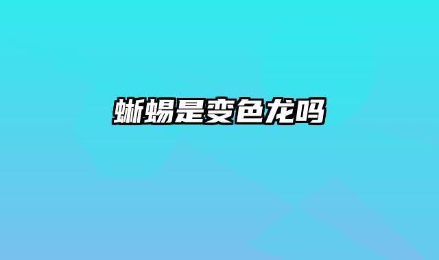 蜥蜴是变色龙吗