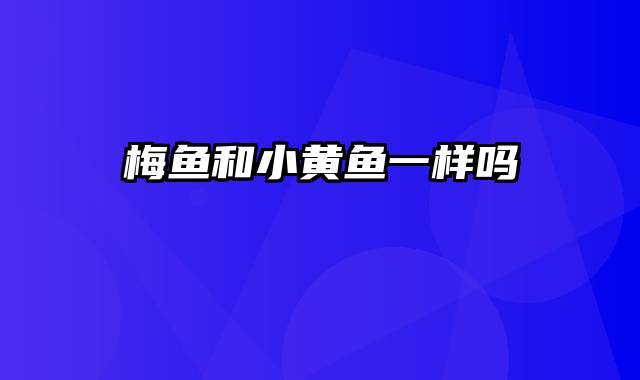 梅鱼和小黄鱼一样吗