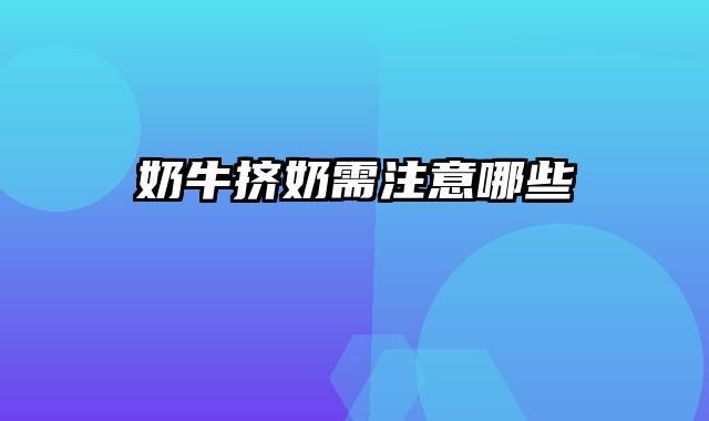 奶牛挤奶需注意哪些