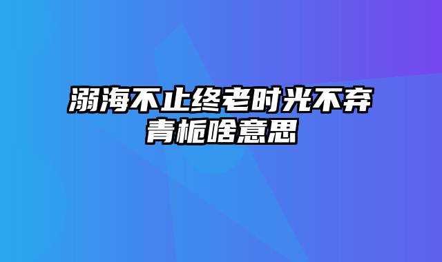 溺海不止终老时光不弃青栀啥意思