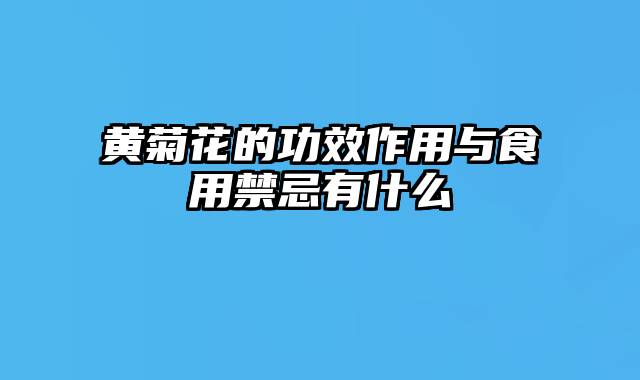 黄菊花的功效作用与食用禁忌有什么