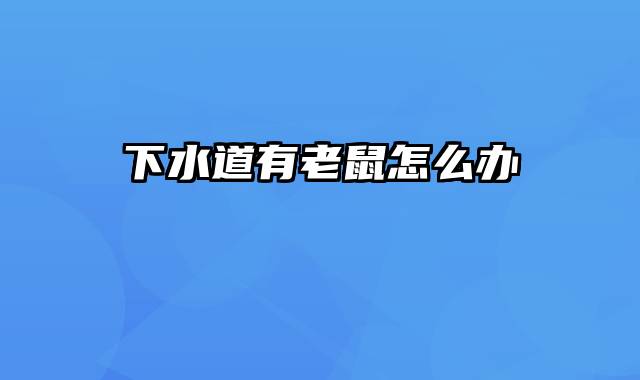 下水道有老鼠怎么办