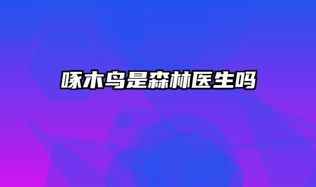 啄木鸟是森林医生吗