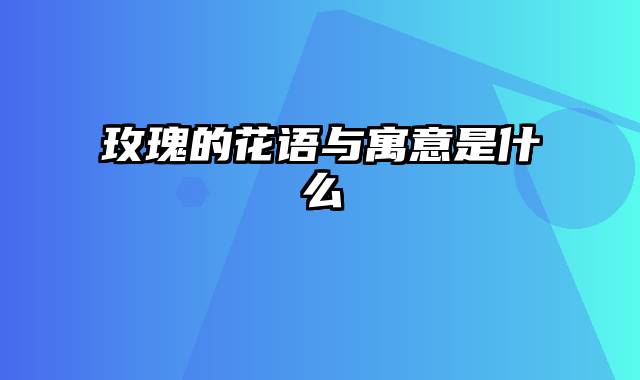 玫瑰的花语与寓意是什么