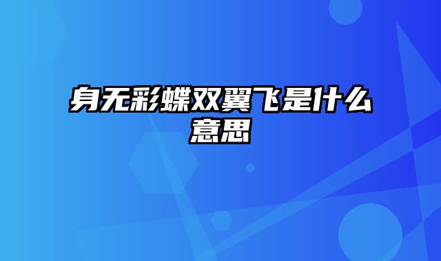 身无彩蝶双翼飞是什么意思