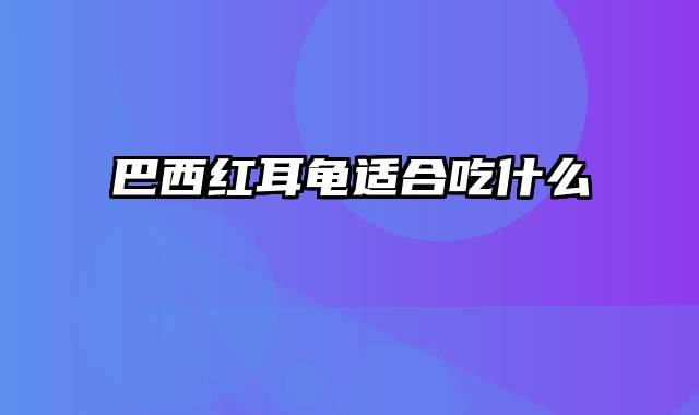 巴西红耳龟适合吃什么