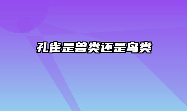 孔雀是兽类还是鸟类