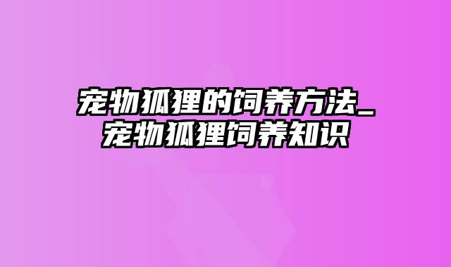 宠物狐狸的饲养方法_宠物狐狸饲养知识