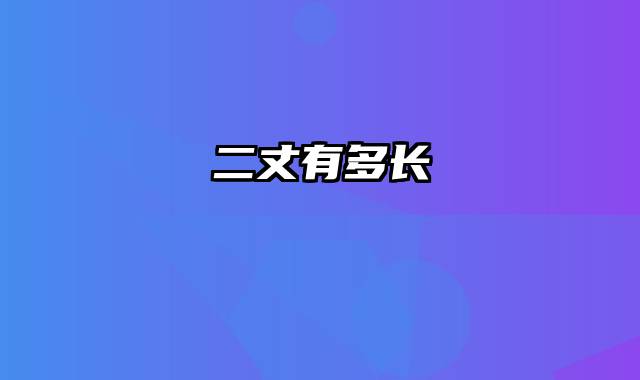 二丈有多长