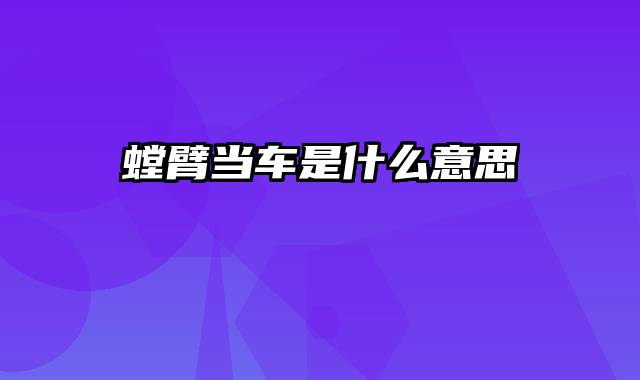 螳臂当车是什么意思