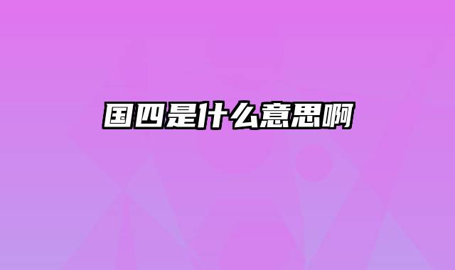 国四是什么意思啊
