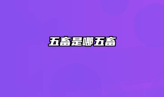 五畜是哪五畜