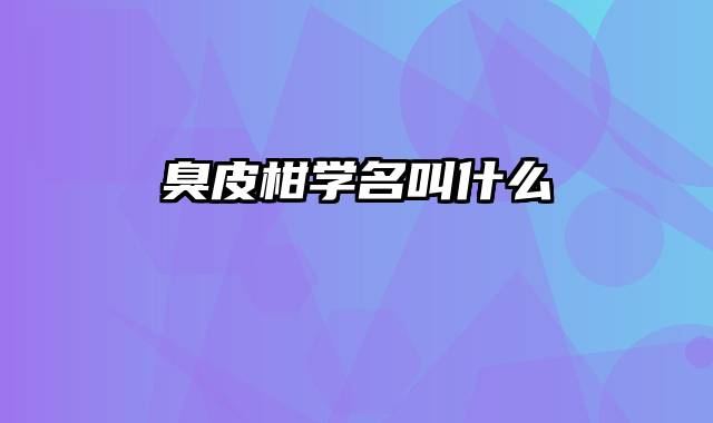 臭皮柑学名叫什么