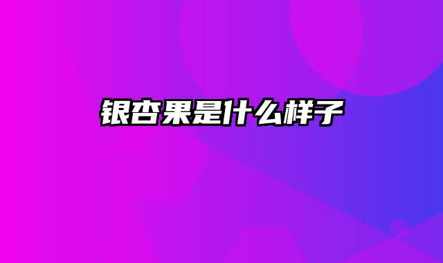 银杏果是什么样子