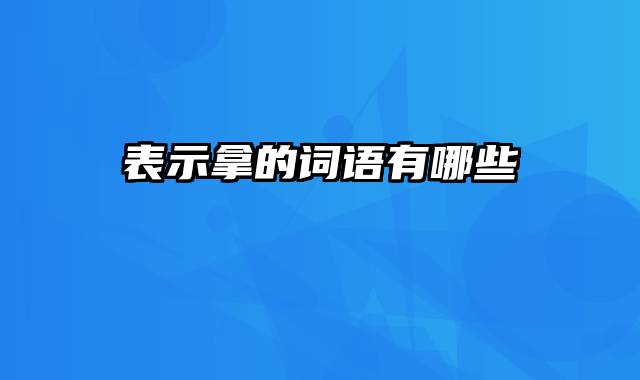 表示拿的词语有哪些