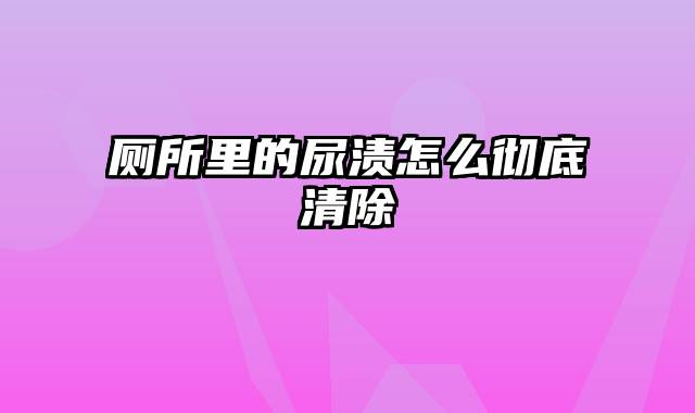 厕所里的尿渍怎么彻底清除