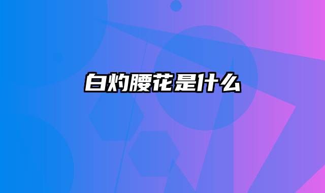 白灼腰花是什么