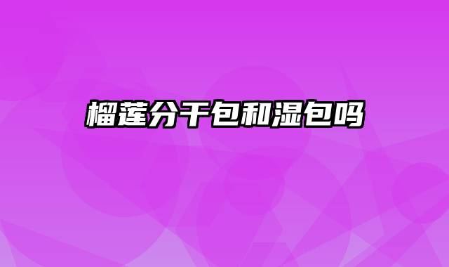 榴莲分干包和湿包吗