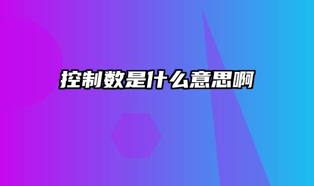控制数是什么意思啊