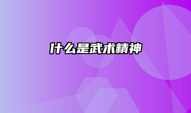什么是武术精神
