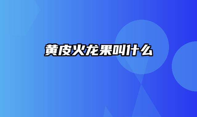 黄皮火龙果叫什么