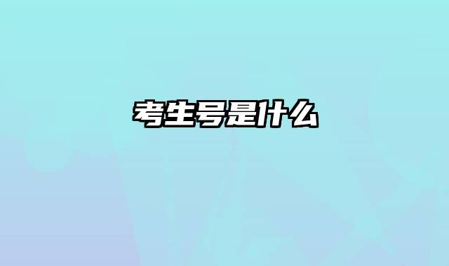 考生号是什么