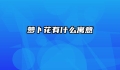 萝卜花有什么寓意
