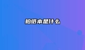 拍纸本是什么