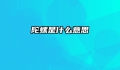 陀螺是什么意思