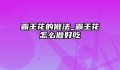 霸王花的做法_霸王花怎么做好吃