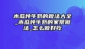 木瓜炖牛奶的做法大全_木瓜炖牛奶的家常做法_怎么做好吃