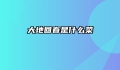 大地回春是什么菜