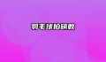 羽毛球拍磅数