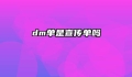 dm单是宣传单吗