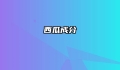 西瓜成分