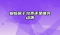 蝙蝠属于鸟类还是哺乳动物